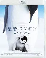 皇帝ペンギン ただいま スペシャル・プライス