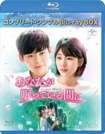 While you're asleep, BD-BOX2 Complete Simple Blu-ray-BOX [Limited Time Production Version]