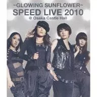 SPEED/GLOWING SUNFLOWER SPEED LIVE 2010@大阪城大厅