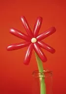 マカロニえんぴつ / マカロニえんぴつ MACAROCK’N LIVE-1 [通常版]