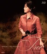 藥師丸弘子/Tree-Live at EX THEATER ROPPONGI-