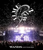WANDS / WANDS LIVE TOUR 2025-TIME STEW-