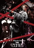 Acid Black Cherry / Acid Black Cherry TOUR「2012」(初回仕様)