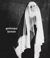 ドレスコーズ / grotesque human