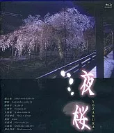 夜桜