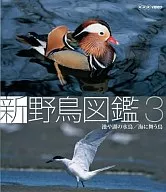 新野鸟图鉴第3集水池和湖中的水鸟，在海中飞舞的鸟