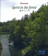 Spirit of the Forest