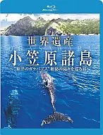世界遗产小笠原群岛"东洋的加拉帕戈斯"神秘群岛之旅