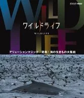 ワイルドライフ アリューシャンマジック 驚異! 海の生きもの大集結