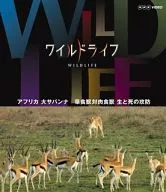 La vida salvaje, la gran sabana africana, los herbívoros contra los carnívoros, la lucha entre la vida y la muerte.
