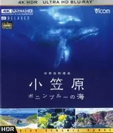 World Natural Heritage Ogasawara - Bonin Blue Ocean - 4K UltraHD Blu-ray