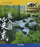 OIRASE GORGE OF FRESH GREEN Oirase-keiryu-shinmidori