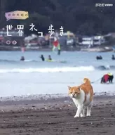 Mitsuaki Iwago's World Catwalk Kamakura