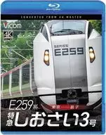 E259系 特急しおさい3号 東京-銚子 4K撮影作品