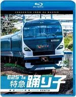 E257系 特急踊り子 東京-伊東-伊豆急下田 4K撮影作品