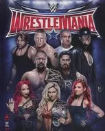 世界摔角娛樂WRESTLE MANIA 2016[進口盤]