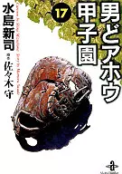 男どアホウ甲子園(文庫版)(17)