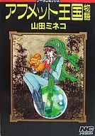 A História do Reino Ahmet