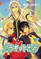 梅特奧·梅特塞拉(完)(11)