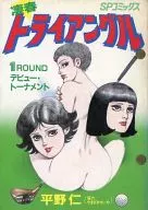 Great spring triangle (1)