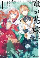 Wizrain王国物语～龙是新娘～(1)/过多的
