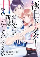 極上ドクターはお見合い新妻を甘やかしたくてたまらない(2) / 佐藤ニッキ