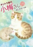 キジトラ猫の小梅さん(28) / ほしのなつみ