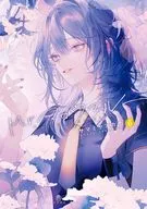 Mr.マロウブルー(6)(完) / サマミヤアカザ