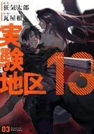実験地区13(3) / 瓦屋根