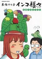 インコ様々 6羽+3人ぐらし