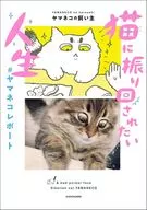 猫に振り回されたい人生 #ヤマネコレポート / ヤマネコの飼い主