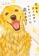 今日もゴールデンレトリバーに癒されて / かんち