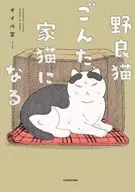 野良猫ごんた、家猫になる / オイル富