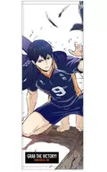 影山飞雄运动毛巾Ver.2.0「排球少年！TO THE TOP」