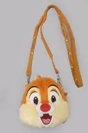 Dale-Neck Coin Case (Plush toy Pass Case) "Disney" Tokyo Disney Resort limited