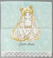 Princess Serenity Wash Towel "Pretty Guardian Sailor Moon x ITS' DEMO"