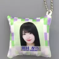 保乃 Tamura mini cushion key holder "Documentary of Keyakizaka46" crane game prize