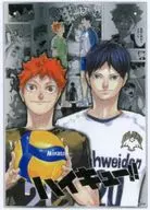 HINATA SHOYO & Kageyama Tobio Large Acrylic Mirror Panel (Wall Hanging Type) "Haikyu!"