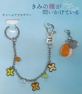 Charm Accessory "Your eyes ask"