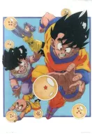 Group / Dragon Ball Visual Board "Ichiban KUJI Dragon Ball EX : Earth Protecting Warriors" I Prize