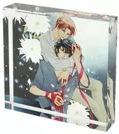 Ai Hasukawa Illustration acrylic block "Akoyana 愁情" Haruhi Sakitani's 20th anniversary Collaboration Cafe Strelicia Goods