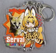 サーバル アクリルキーホルダー 「のんほいパーク×けものフレンズ」