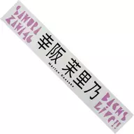 幸阪 Marino Sumemen Muffler Towel "櫻坂 46 『 BACKS LIVE! 』"