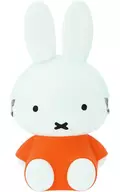 Red 3D Pochi (Silicon Gamaguchi) "Miffy"