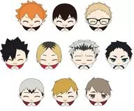 Set of 10 items "Haikyu! Hagu Character Collection Special"