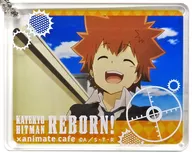 Tsunayoshi Sawada "Tutor hitman REBORN! ×animatecafe CoLotta (trading acrylic plate key holder)"