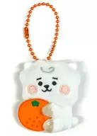 RJ (Jin) Trading empalhado chaveiro "Brian Transeau 21" Limitada a TSUTAYA