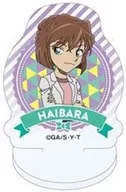 Ai Haibara "CASE CLOSED Acrylmini Acrylic Stand"