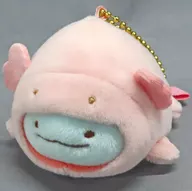 Lizard (Upalupa) Dangling Plush toy "Sumicco Gurashi Suizokukan" limited to aquariums