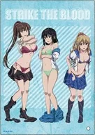 Gathering Changing Clothes ver. Mini Acrylic Art "STRIKE THE BLOOD FINAL"